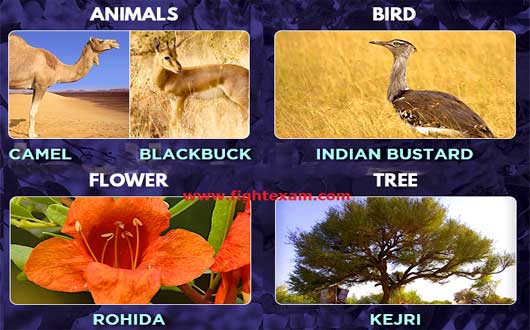 Read more about the article Rajasthan State Identification | Symbols | State Animal | Tree | Bird | Dance