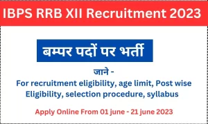 IBPS RRB XII Recruitment 2023 Apply Online
